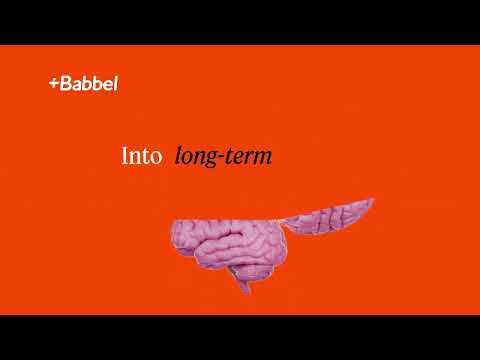 Babbel USA YouTube ad: GoogleUAC 2510 CreativeWinnerIteration Heavy 16x9 USEN 20sec