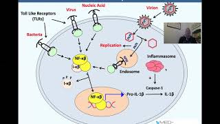 Med-Pathway.com MCAT Test Prep Immune system. Dr. Phil goes over the AAMC Content Outline for Immuno