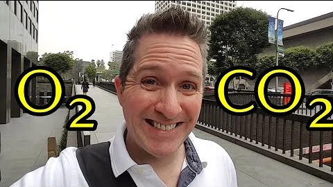 LOSE WEIGHT WHILE YOU SLEEP! the science behind losing weight!