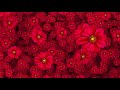Background Flower Images Hd