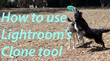 How to Use Lightroom