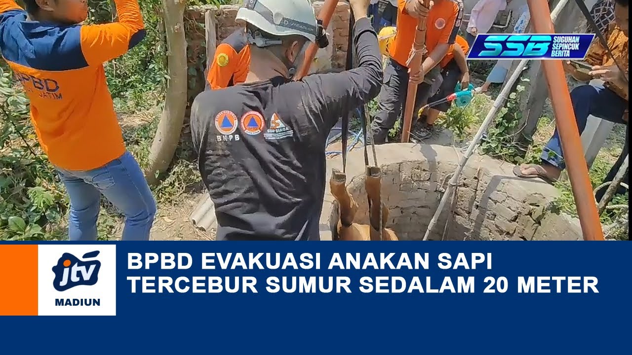 MAGETAN - BPBD Evakuasi Anakan Sapi Tercebur Sumur Sedalam 20 Meter