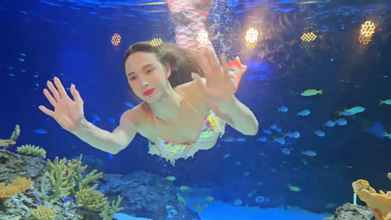 #인어공주 루비#광교 아쿠아 플레넷