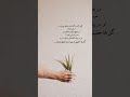 گلی که به گلدانش عشق می ورزدبرای بودن در هیچ باغ و باغچه ای حسرت نمی خورد Subscribemychannel