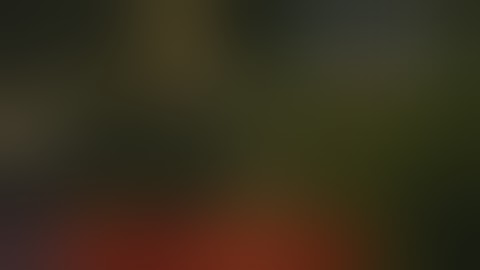 The Witcher 3 : Wild Hunt  - Practicum in Advanced Alchemy