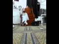 dawoojee action ki rapproche nou avec allah 2 10 14
