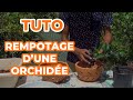 Tuto  comment rempoter une orchide 