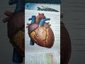 shorts motivation video for #neet Aspirents Heart picture