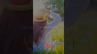 Story Whatsapp Perempuanku Irwansyah short