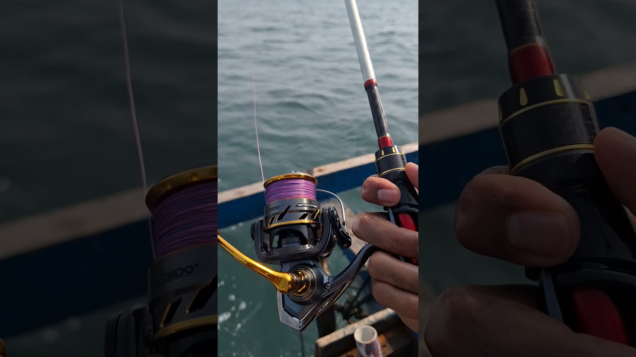 Perdana mancing di laut bersama Daido Xpedition dan Spectre