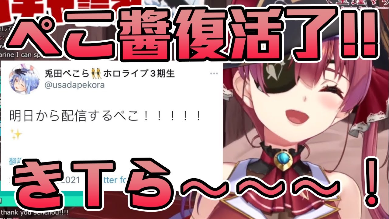 【宝鐘マリン】族長回來啦！！！！！狂喜的船長！