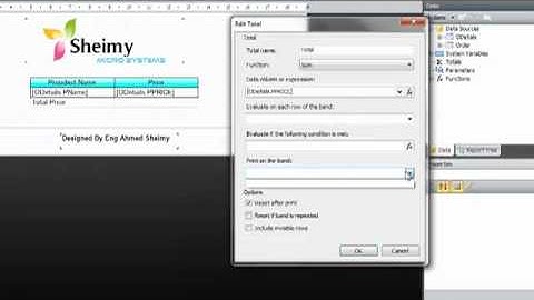 Creat Fast Report + C#.mp4