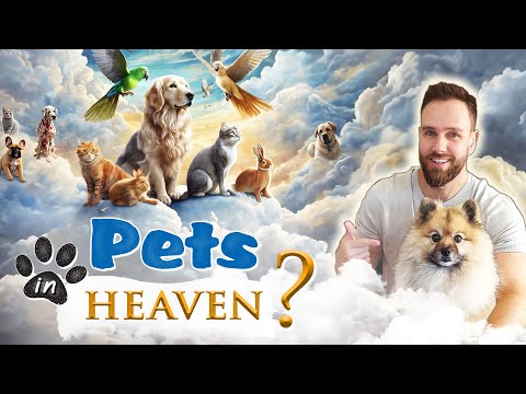 Will PETS go to HEAVEN? || WHAT the BIBLE SAYS about ANIMALS in HEAVEN