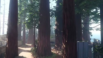 Call of Duty: Black Ops III- Spawn Combat Axe on Redwood