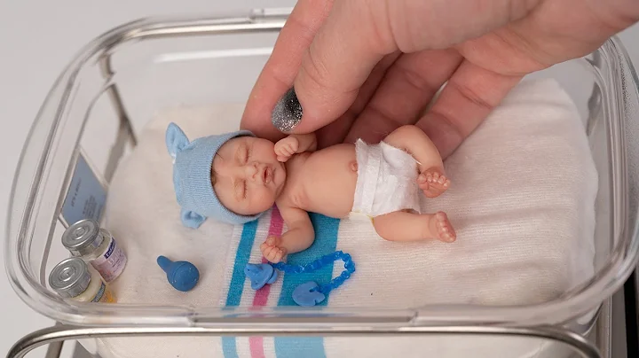 SMALLEST Newborn Miniature Baby - Silicone Reborn ...