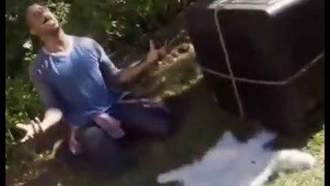 My extremely big part in Meka Dynamism by OMEGA