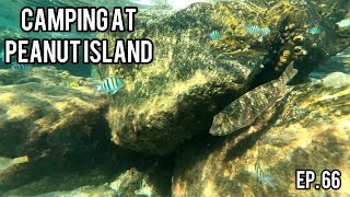 Peanut Island Camping Trip {EP. #66}