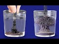 EXTREMELY COOL EXPERIMENTS to satisfy your senses