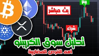 بث مباشر - سوق العملات الرقمية ينفجر سعريا والبيتكوين يسجل أرقاما جديدة