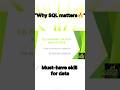 Why Data is Stored in Databases (Not Excel) | SQL Explained