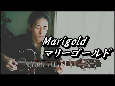 マリーゴールド (Marigold) / あいみょん (Aimyon) - cover by Kamesan