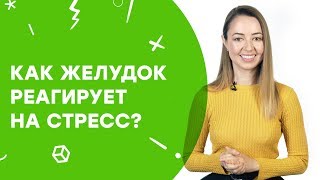 Как желудок реагирует на стресс? | Узнай за 60 секунд