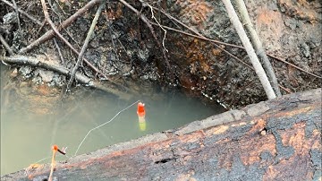 Tạp 522- Câu Cá Rô Đồng Ngay Con Nước Lớn Cá Rô Vô Mé Bờ Mồi Xuống Là Ăn Thấy Mê