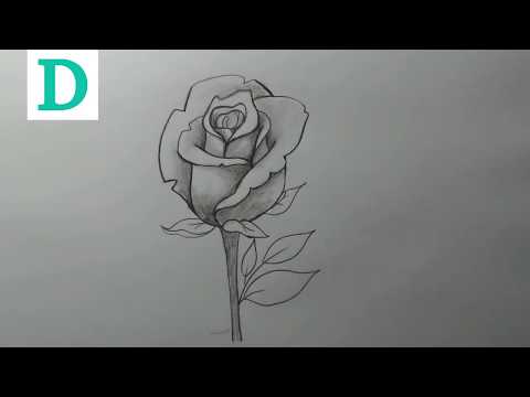 Vídeo: Como Desenhar Uma Rosa Com Salada Chinesa