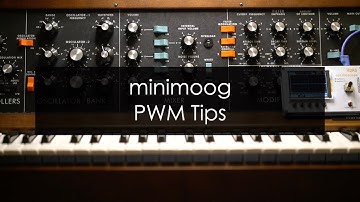Minimoog PWM Tips