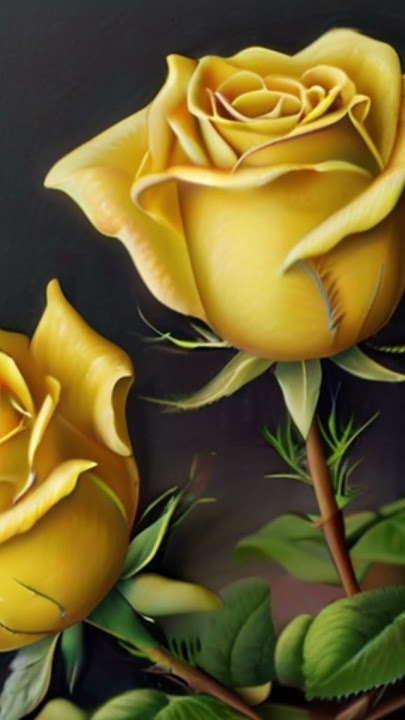 piano  violin music (white roses), 钢琴曲,小提琴曲,黄玫瑰!#钢琴曲#小提琴曲#piano#violin