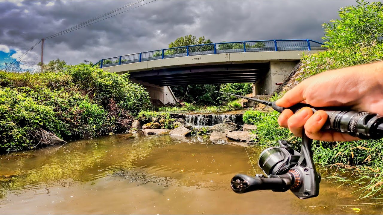 Lov dravců na přívlač na malé nástrahy. Rybí král z malého potoka.