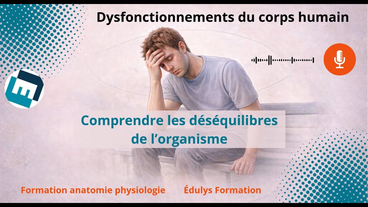 Les dysfonctionnements du corps humain - Comprendre les déséquilibres de l'organisme