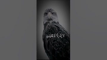 وانا اخترتك فاستمع لما يوحى || كرومات قران كريم شاشة سوداء #قرآن #تلاوة