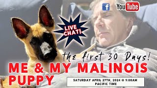 LIVE  My Malinois Puppy & Me  the first 30 days