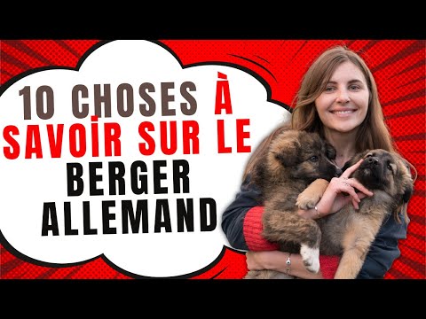 Vidéo: Du vétérinaire: 3 choses que chaque propriétaire de berger allemand devrait surveiller