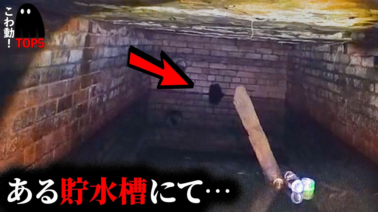 【海外専門】戦慄の心霊映像5選…202本目
