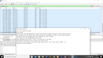 Forensics-shark on wire 2