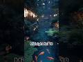 Midnight Koi 18 #meditationmusic #koi #koifish #aquarium #relax #piano#lanternlight#japanesegarden