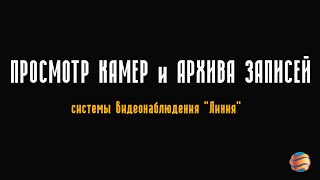 Просмотр камер и архивов записей в системе видеонаблюдения "Линия" screenshot 5