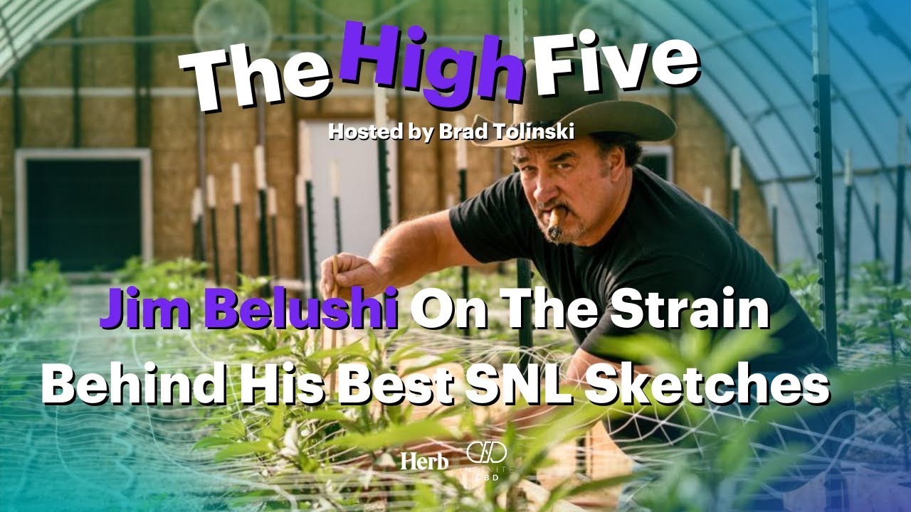 Jim Belushi On The Strain Behind His Best SNL Sketches | The High Five