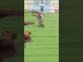 ギンシャリボーイ 【JAPAN WORLD CUP 3】 #競馬