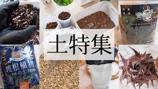 「観葉＆多肉植物に使っている土」をまとめて紹介します【培養土・ブレンド土】