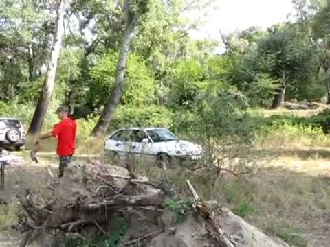 ფოქსი და ჩხიკვი