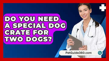 Do You Need A Special Dog Crate For Two Dogs? - PetGuide360.com