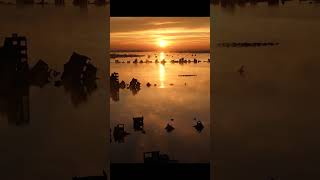 Beyond Horizon #shortsviral #movieshort #waterlogging #movie #film #seaflood #movieclips