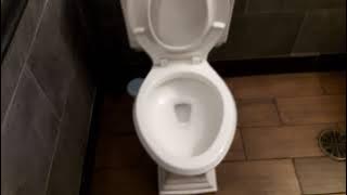 Kohler Memoirs toilet with right-side handle