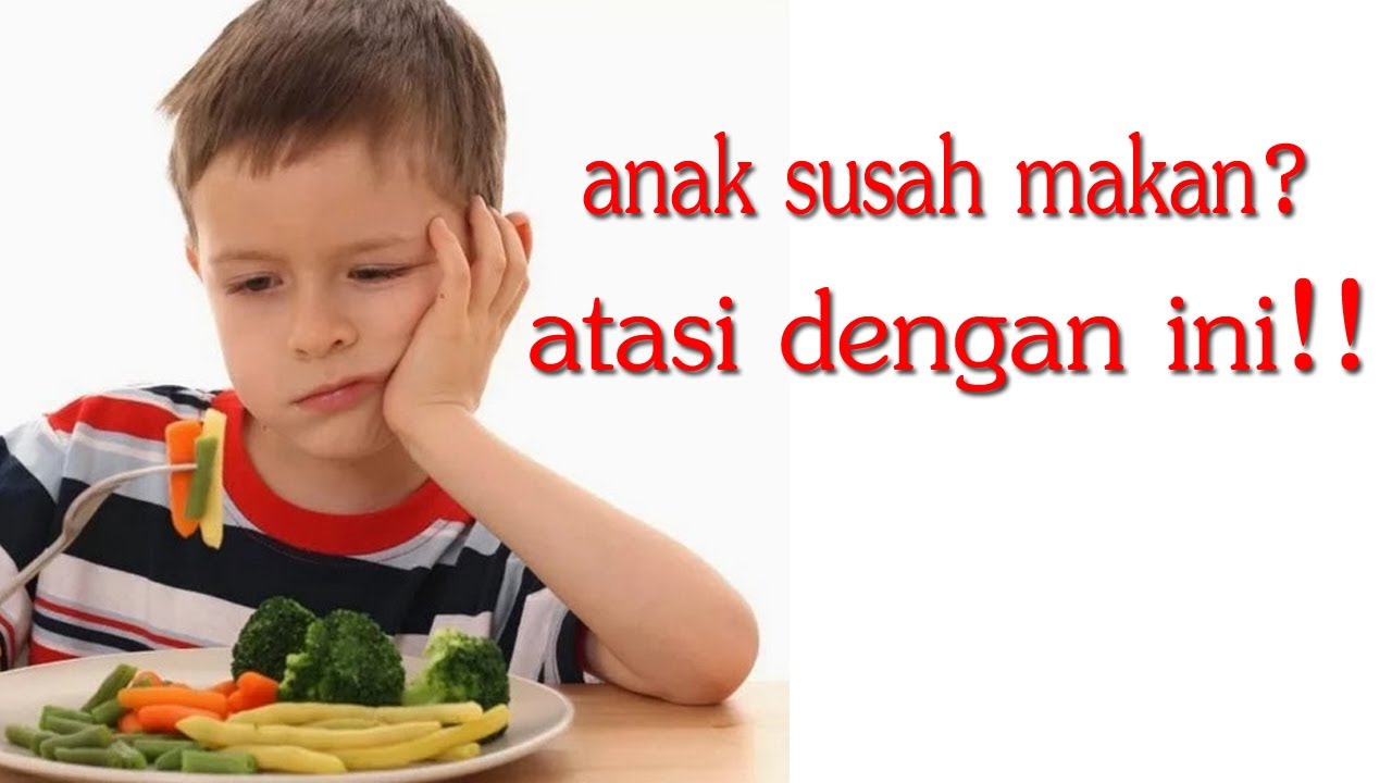 WA: 0857-1874-1833 | Cara Mengatasi Anak Susah Makan. Begini Caranya