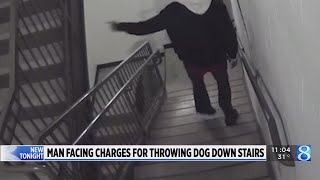 Charges issued for man who threw dog down stairs in GR apartment