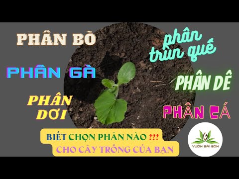 Video: Phân bón hữu cơ khác nhau - Các loại phân bón để làm vườn hữu cơ