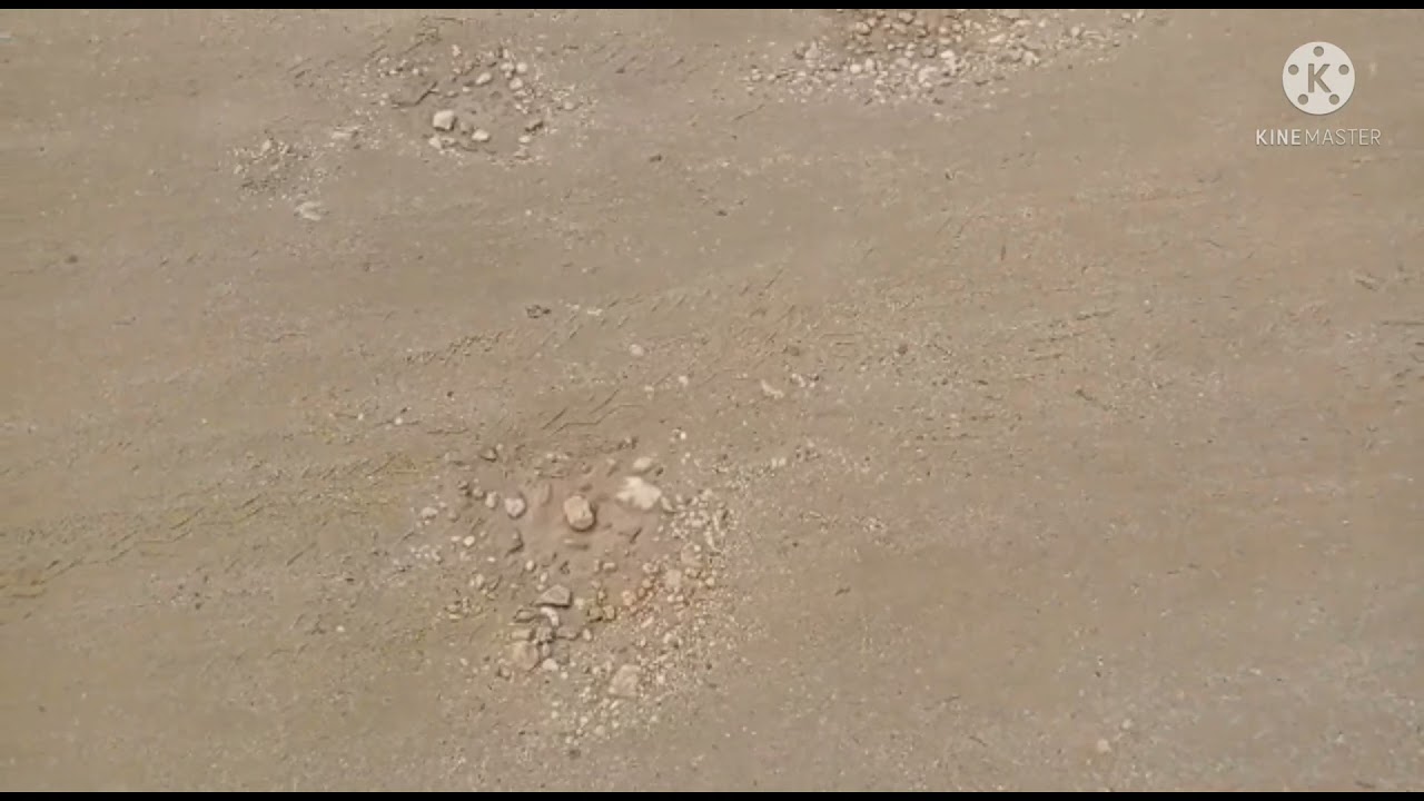 KKN REGULER IAIN KENDARI ANGKATAN VII TAHUN 2021 POSKO 20 DESA POPALIA 